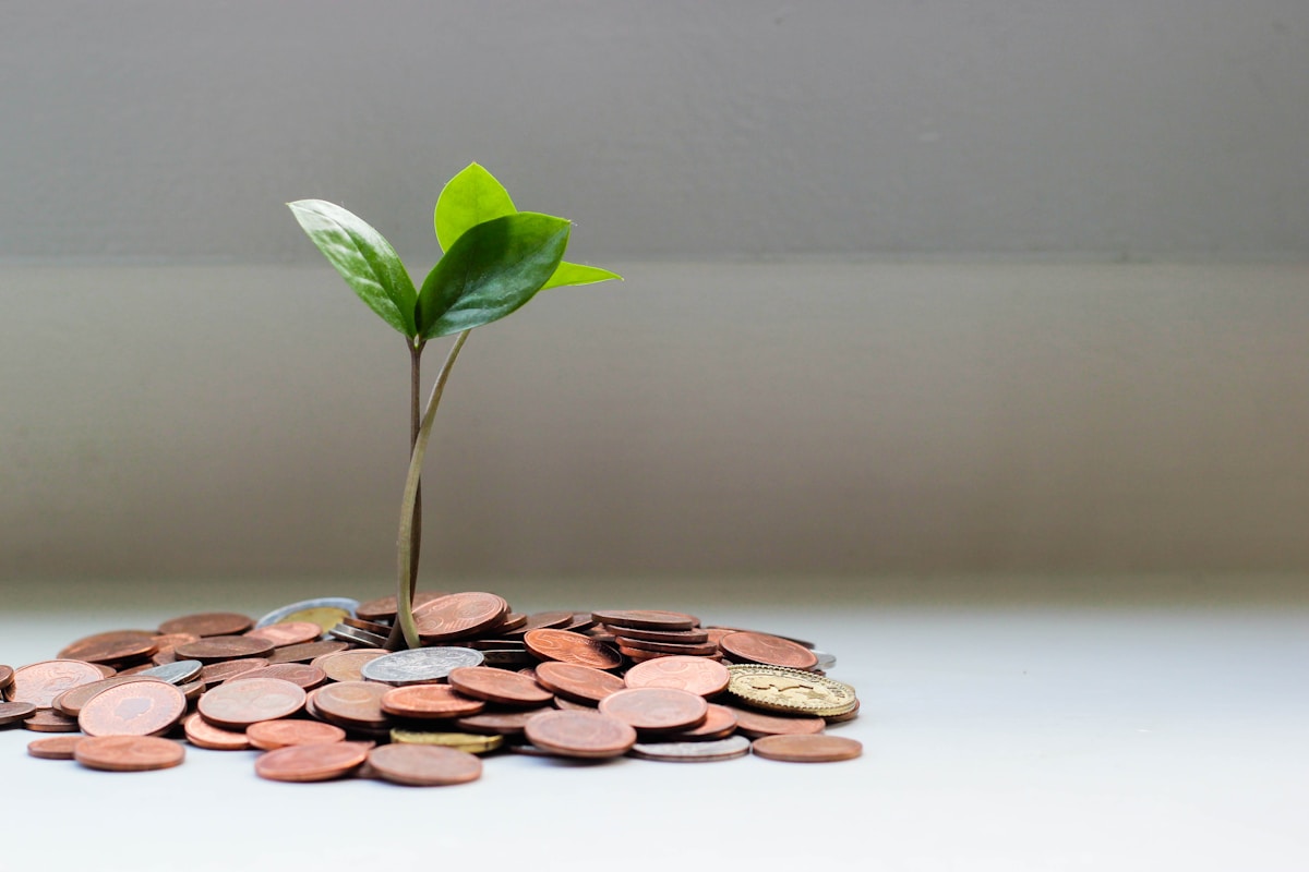 Restaurant sales forecasting guide